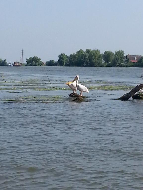 Hotel Select Tulcea Eksteriør billede